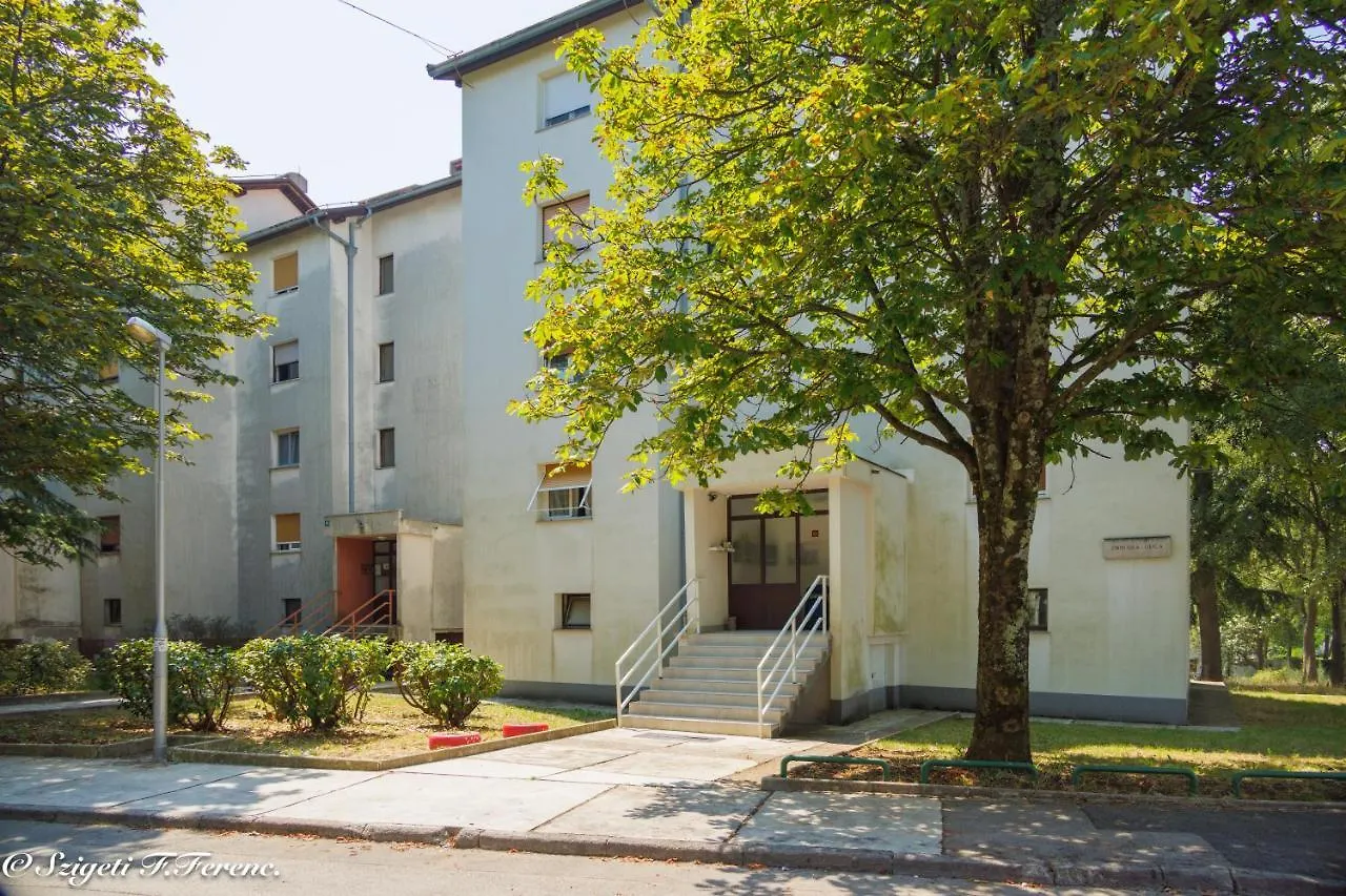 Captivating 1-Bed Apartment In Rijeka With Parking